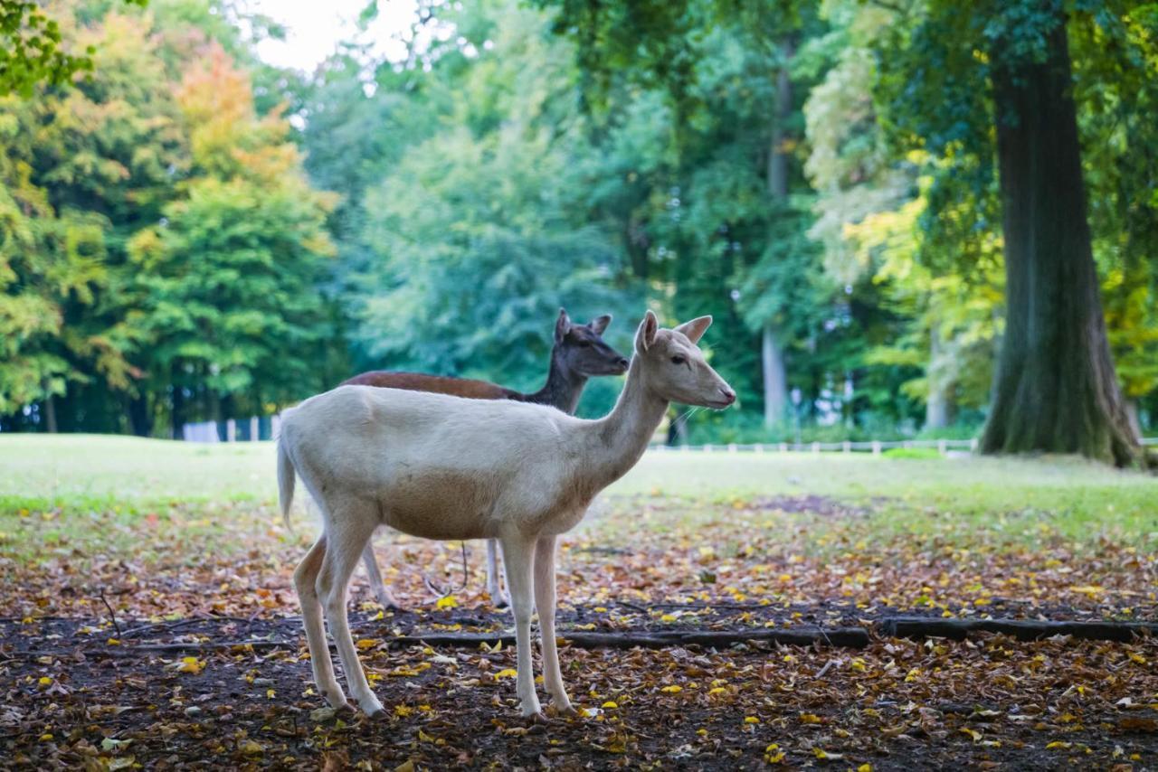 Graeflicher Park Health & Balance Resort Bad Driburg Kültér fotó